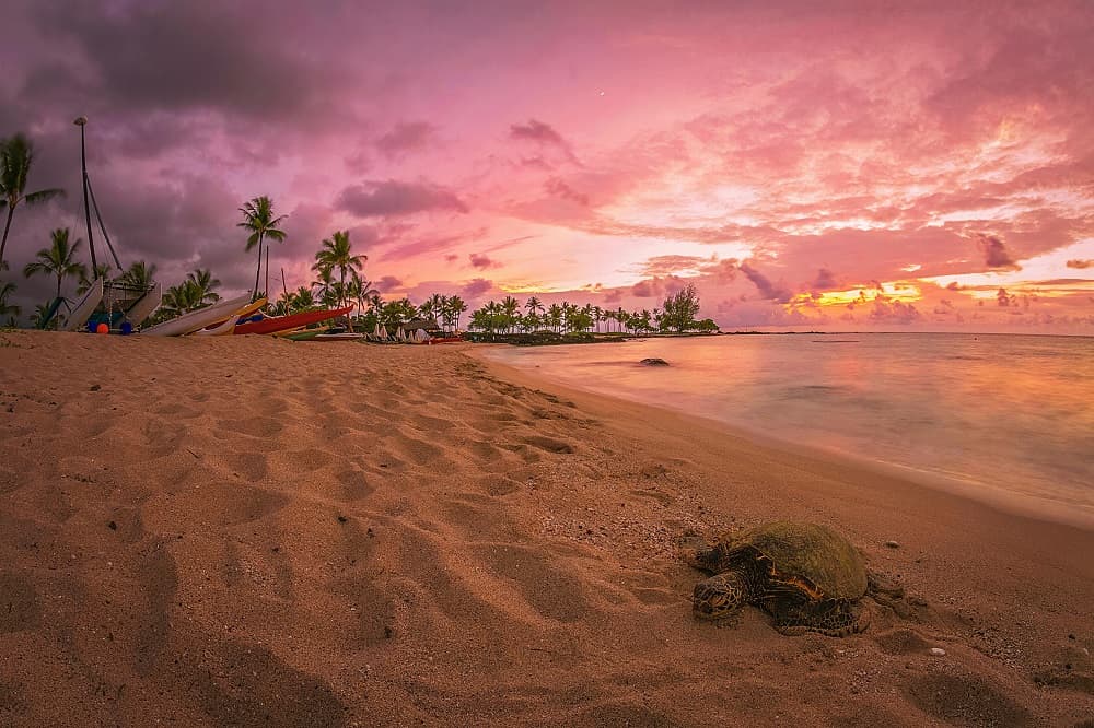 Your Dream Hawaiian Getaway Awaits
